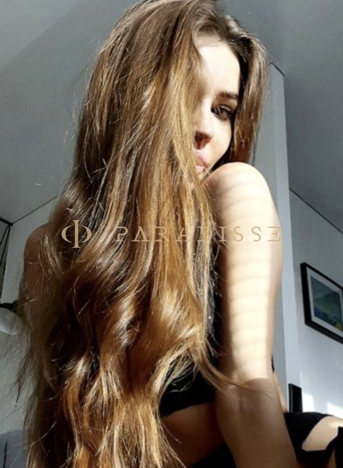 Escorts VIP Paradisse - Clement