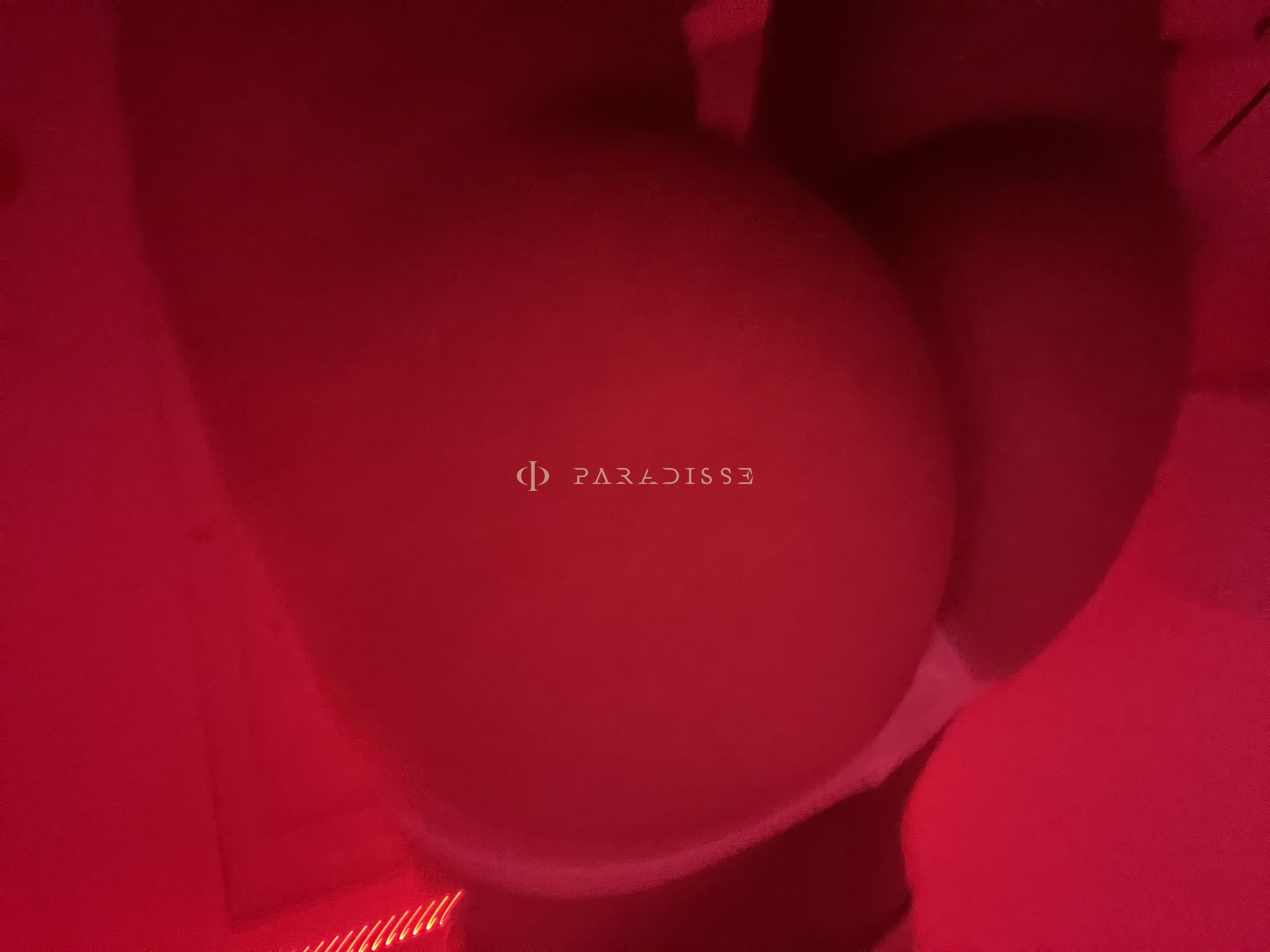 Escorts VIP Paradisse - Cata